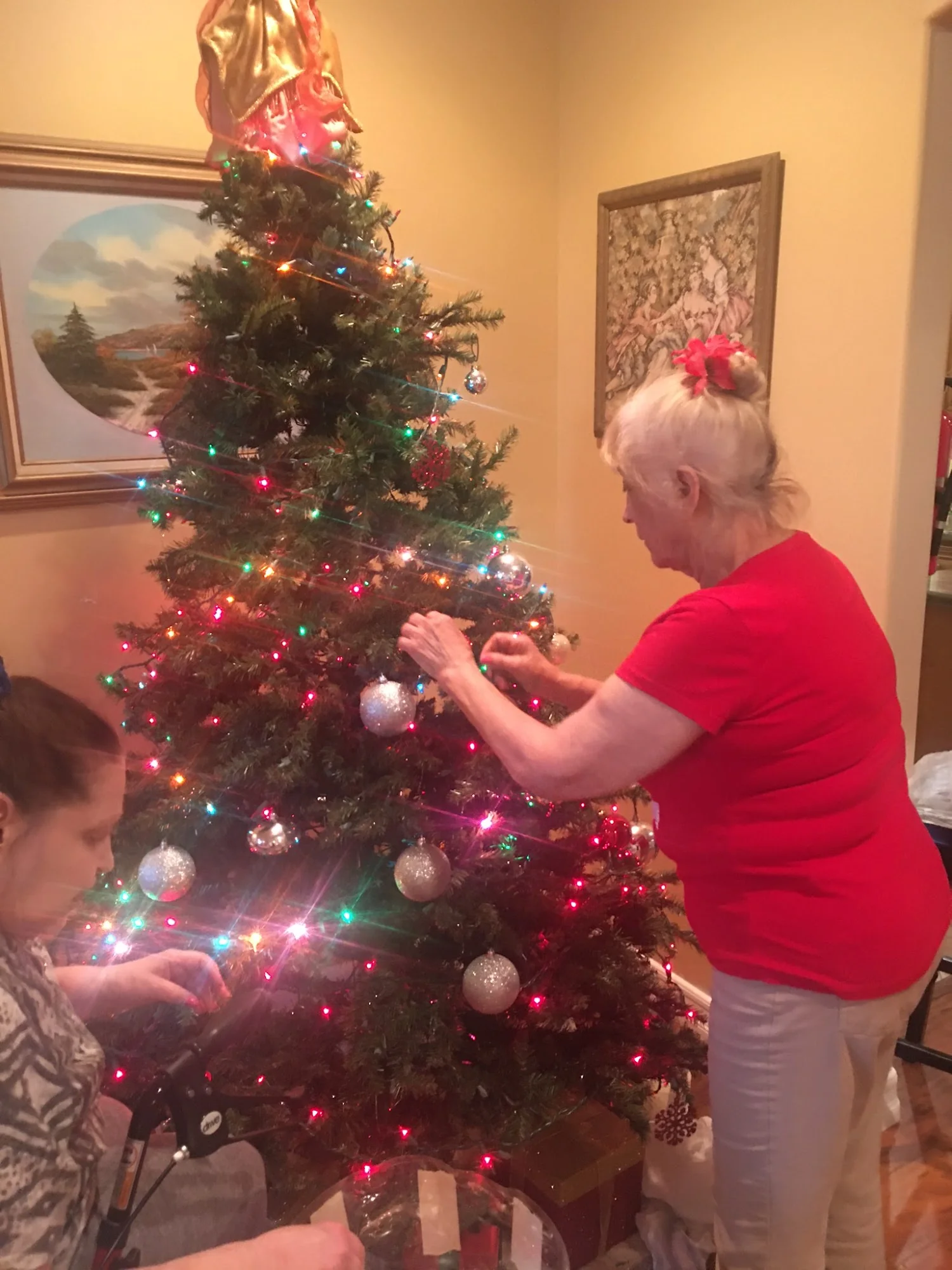 Carnelian Villas Home Care - an ALW Provider