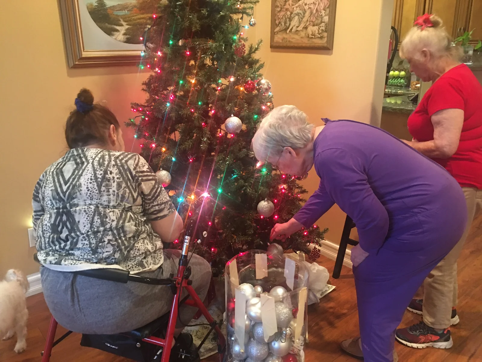 Carnelian Villas Home Care - an ALW Provider