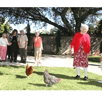 CEDAR CREEK ALZHEIMER'S & DEMENTIA CARE CENTER