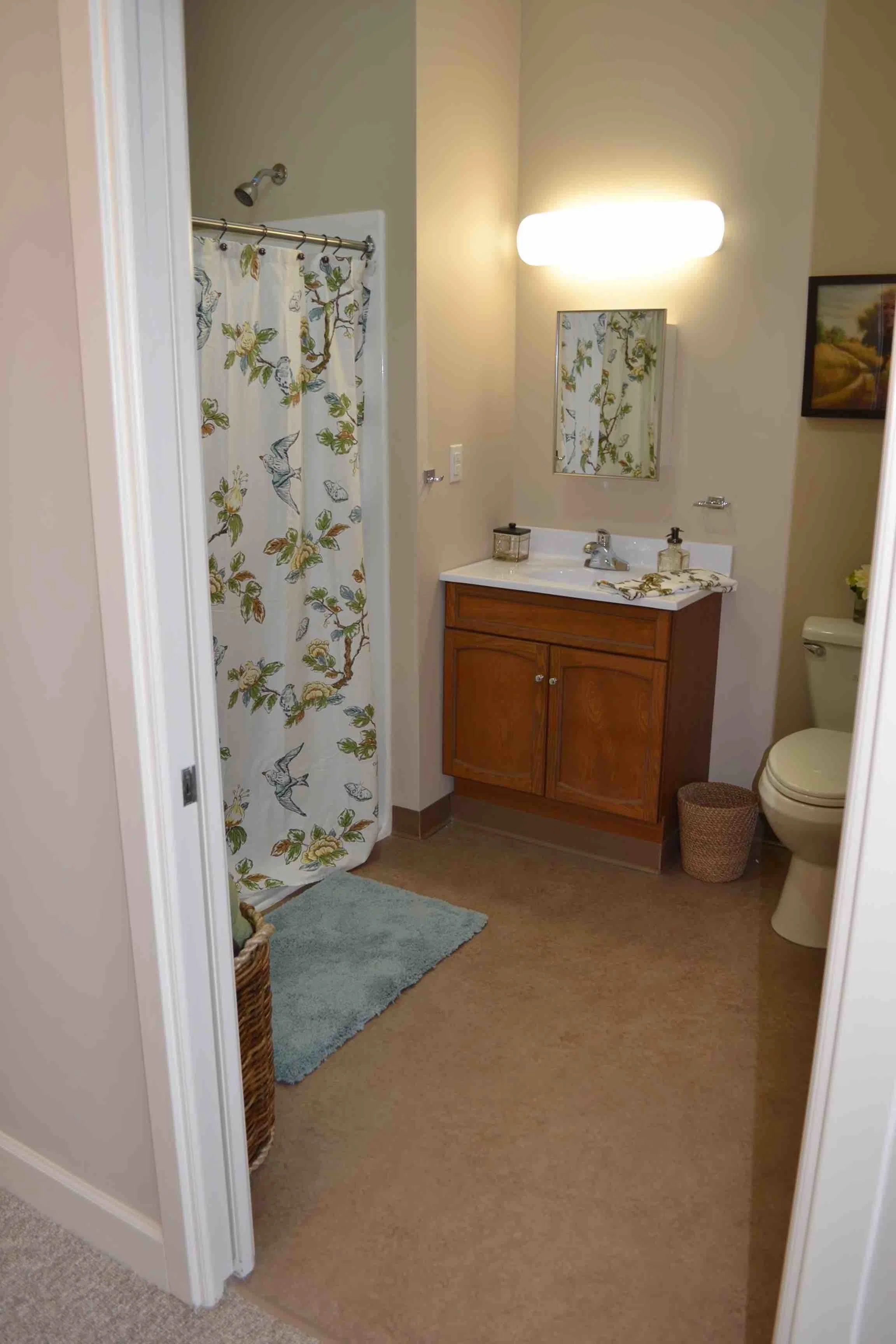 CHAMPLAIN VALLEY SENIOR COMMUNITY