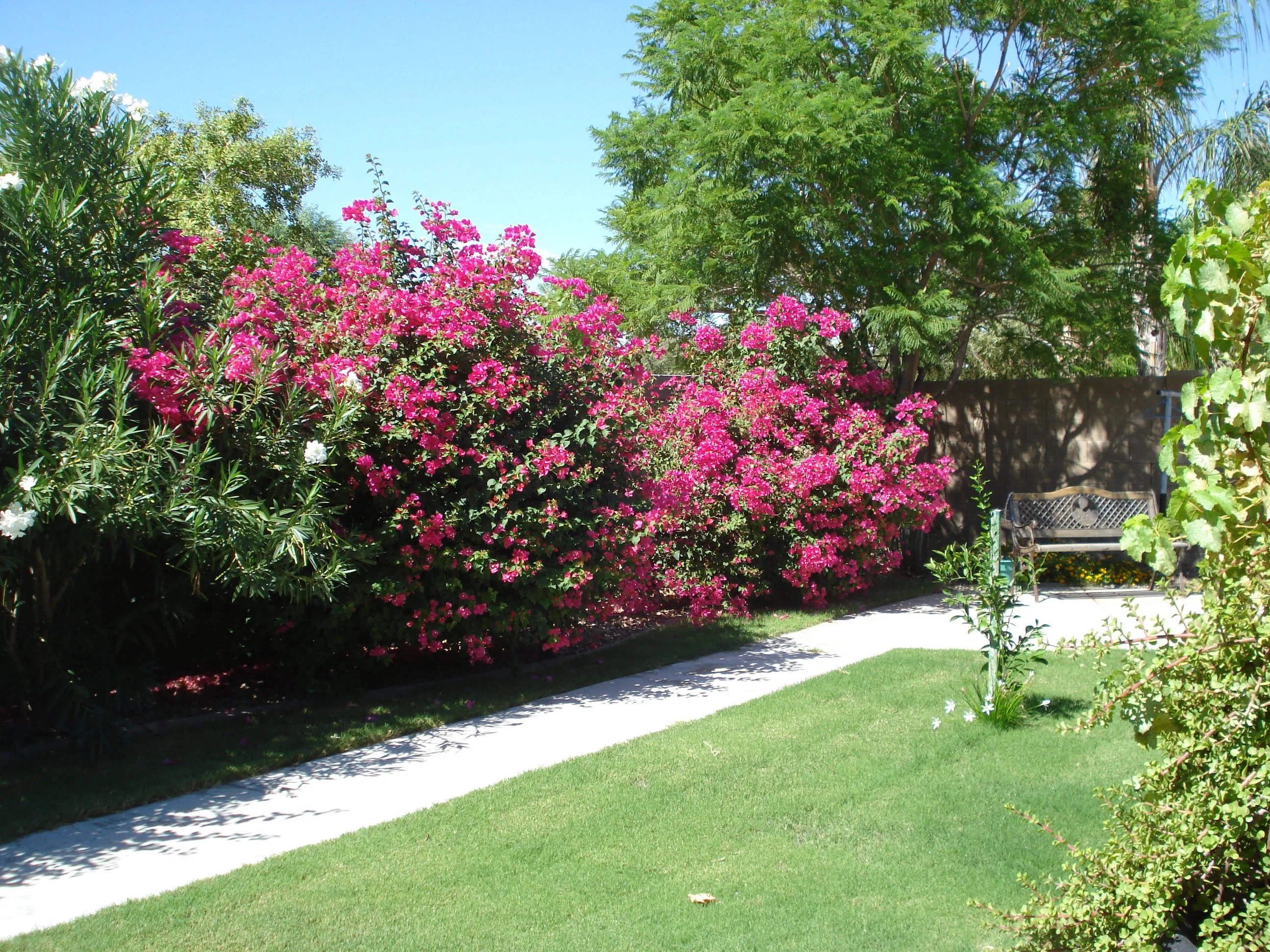 Dolce Vita Assisted Living