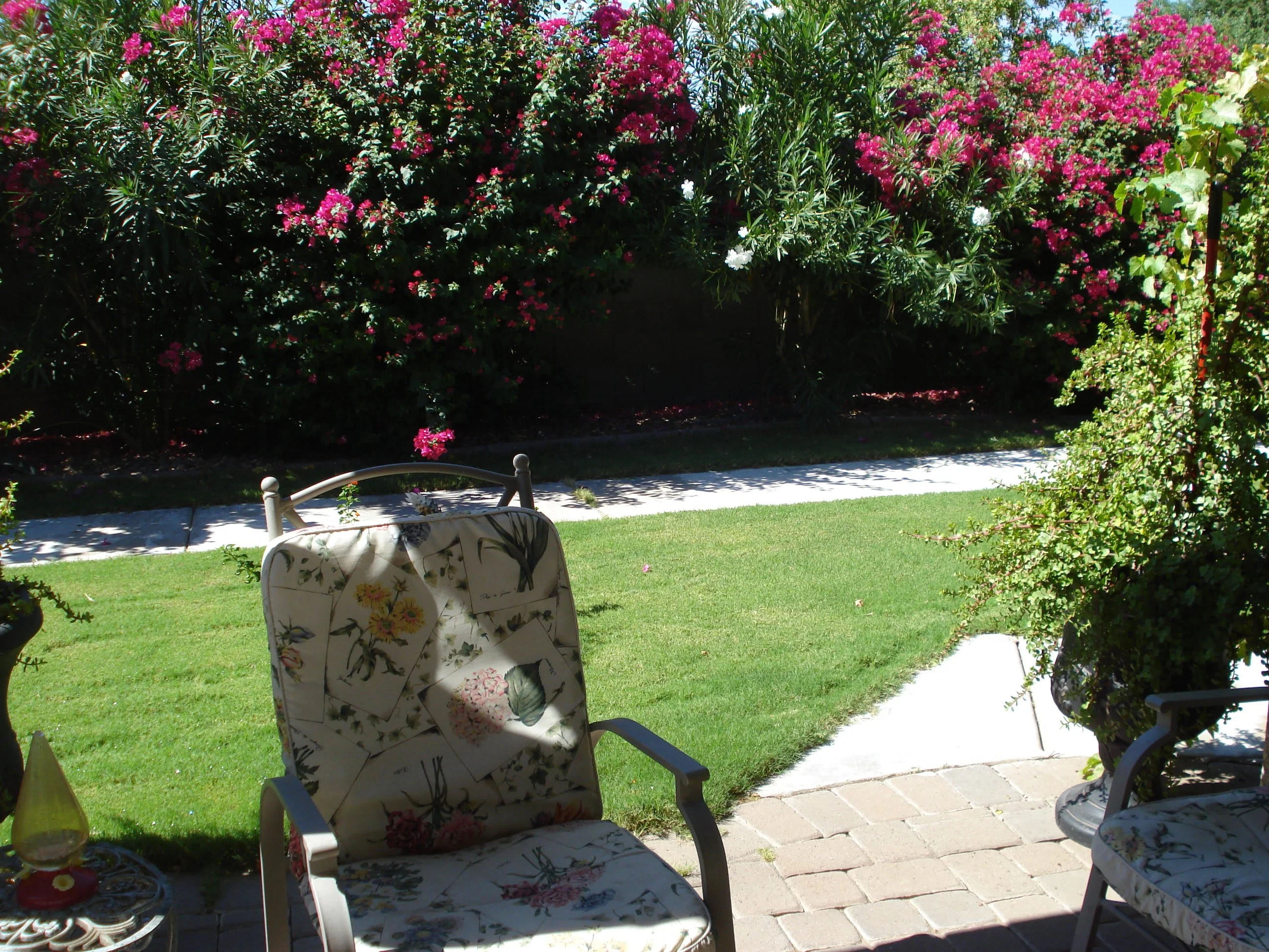 Dolce Vita Assisted Living