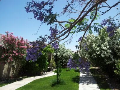 Dolce Vita Assisted Living