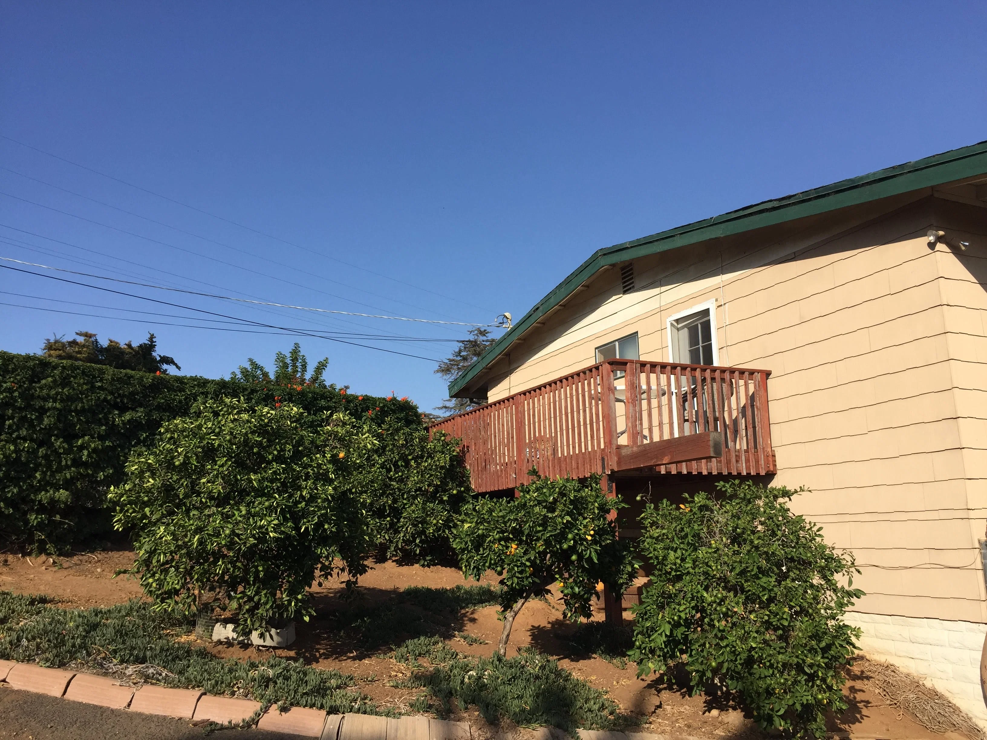 Forest View Guest Home