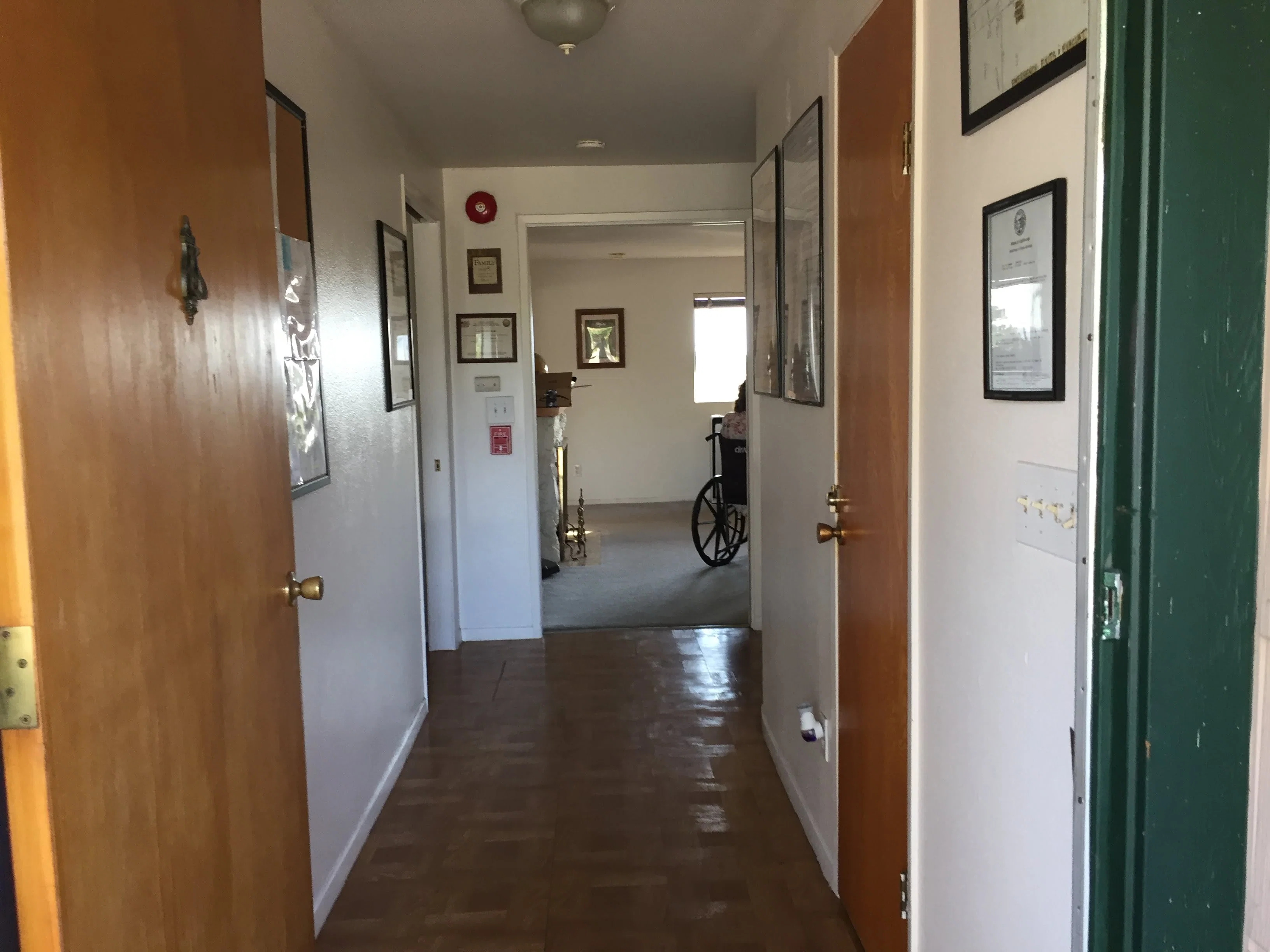 Forest View Guest Home