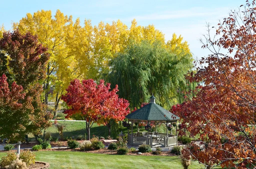 Gardens at Columbine
