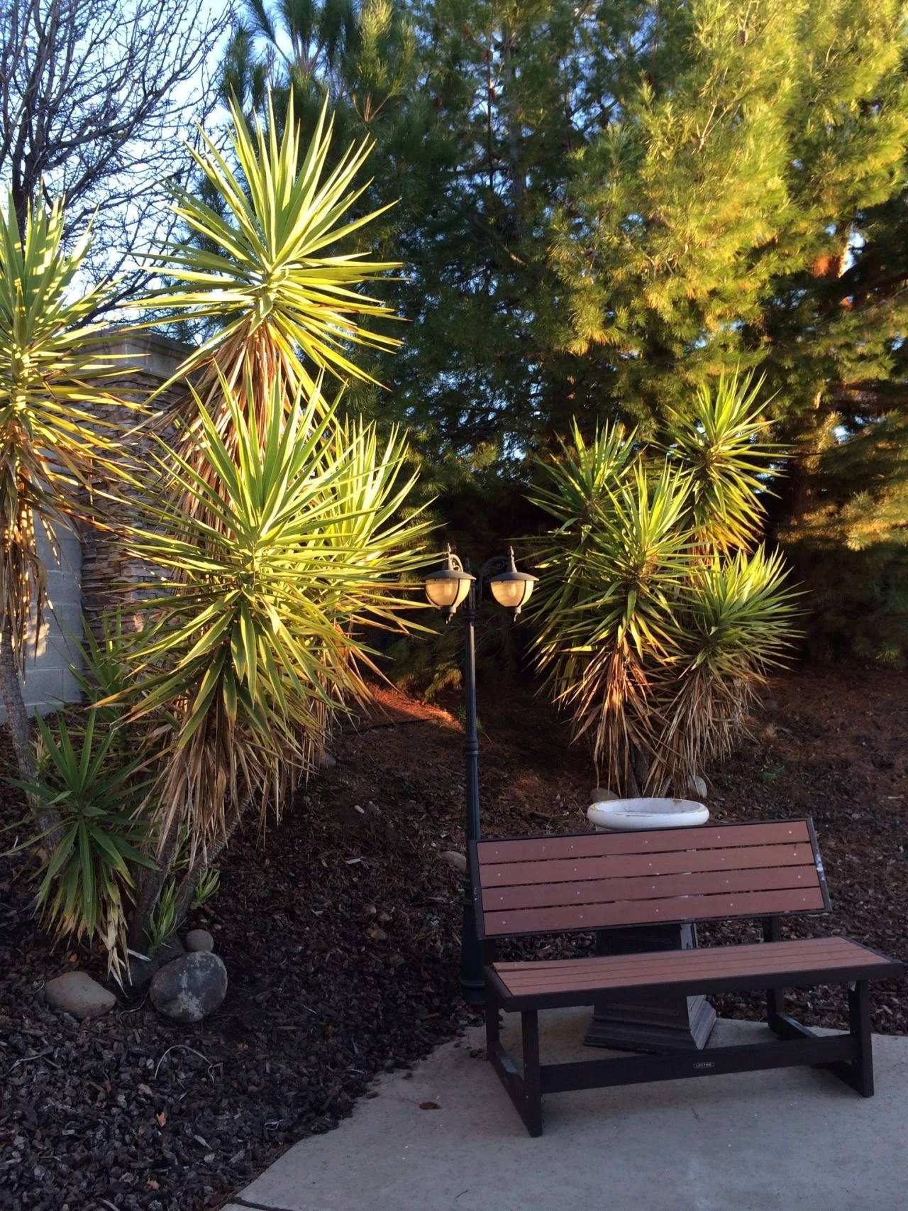 Grace Garden Senior Care