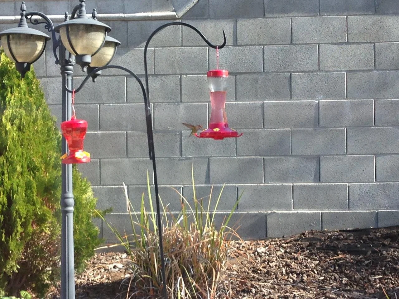 Grace Garden Senior Care