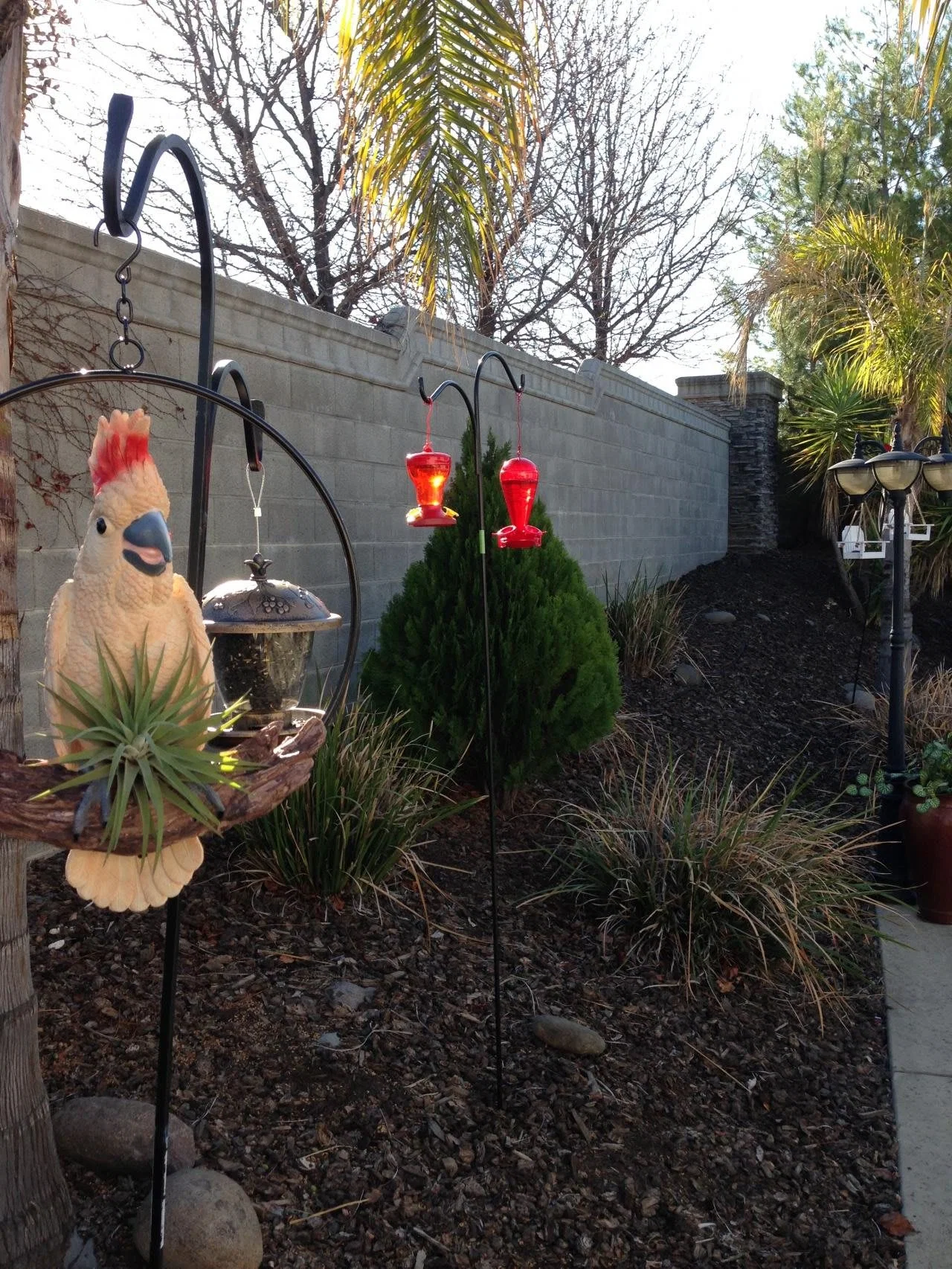 Grace Garden Senior Care