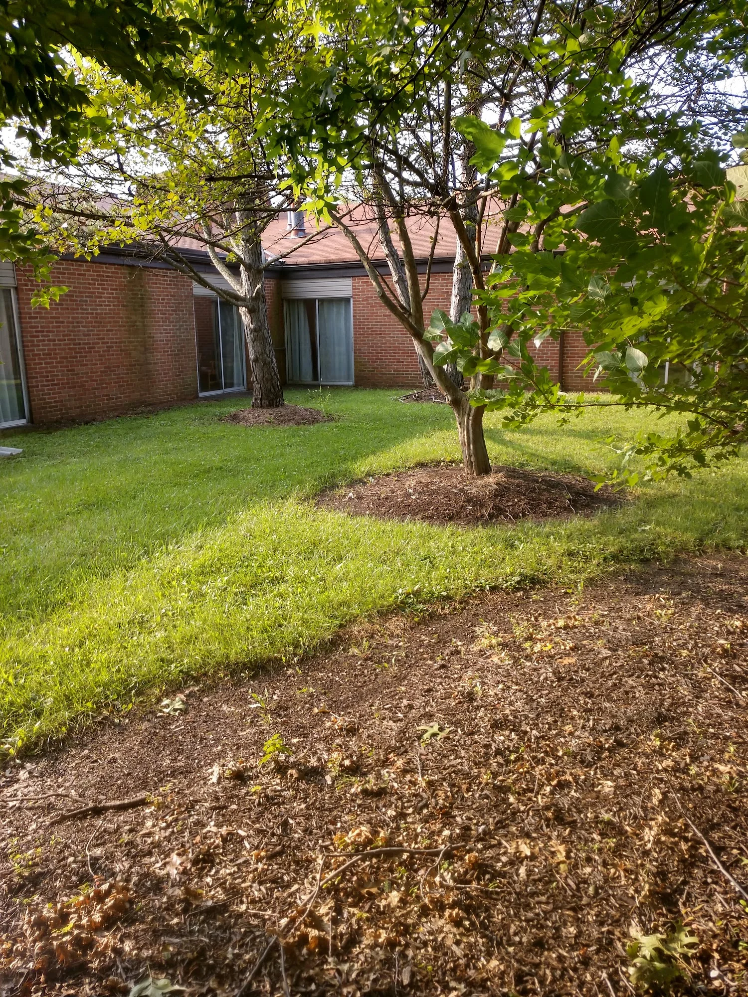 Harmony Court Rehab and Nursing