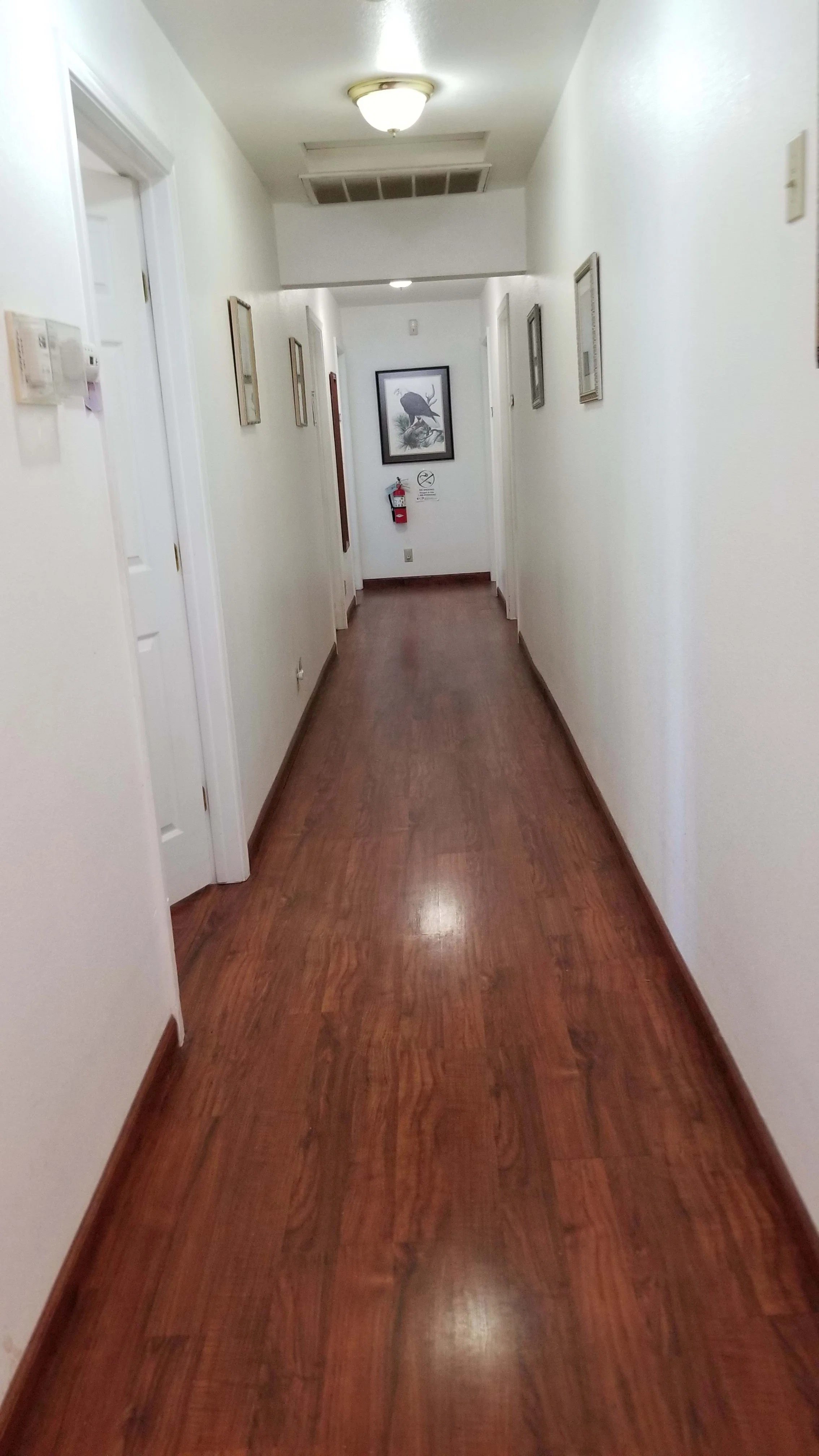 Horizon Home