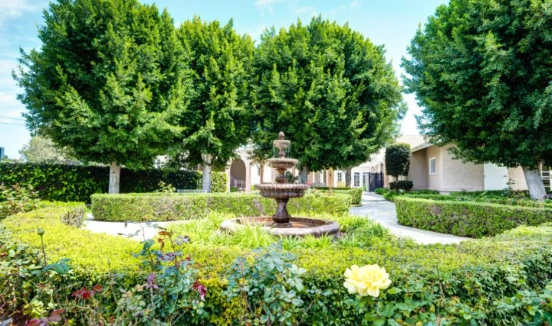 IVY TERRACE AT FULLERTON