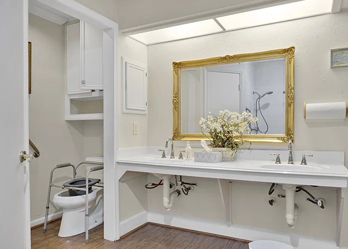 LIGHT HEART MEMORY CARE - CLEAR LAKE