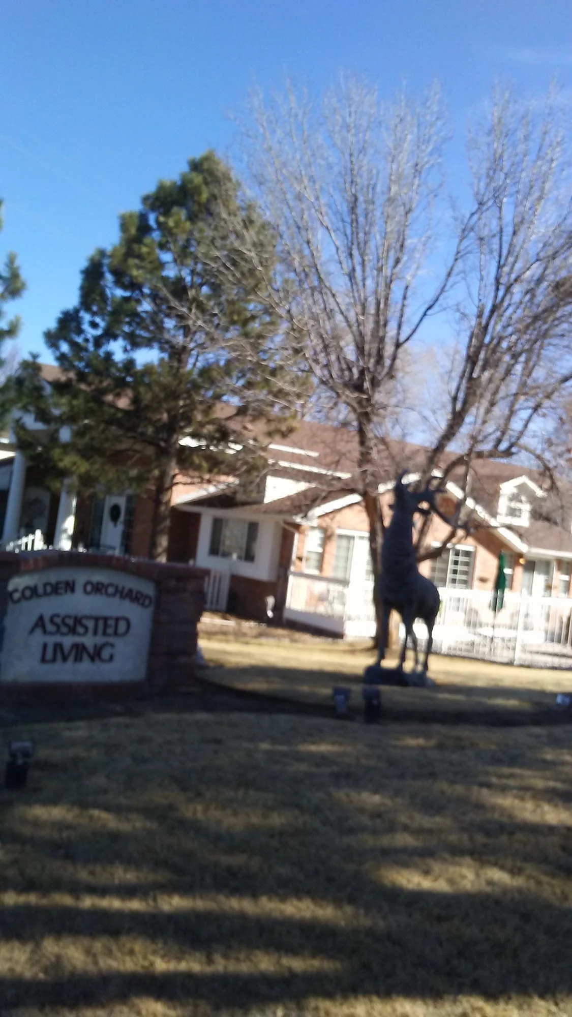 Limelight - Golden Orchard Assisted Living