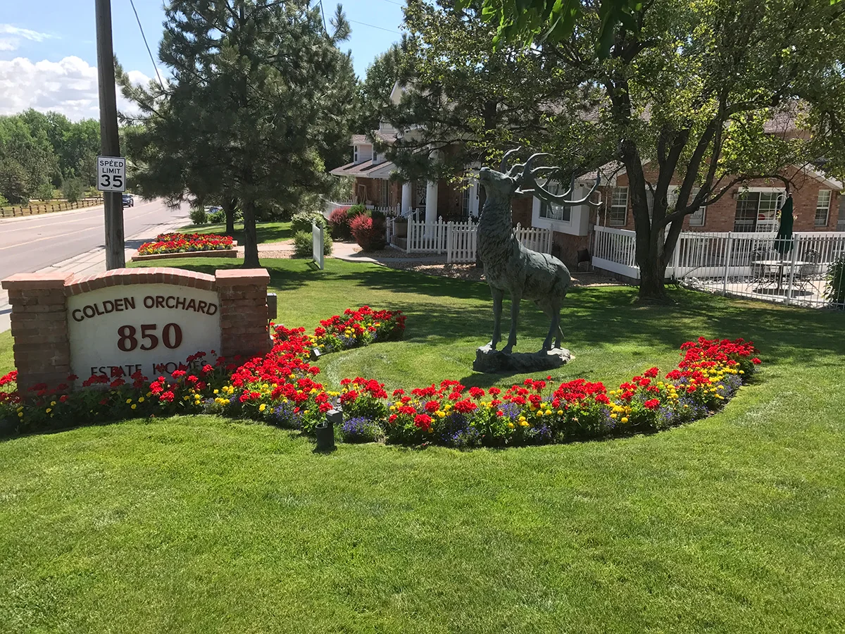 Limelight - Golden Orchard Assisted Living
