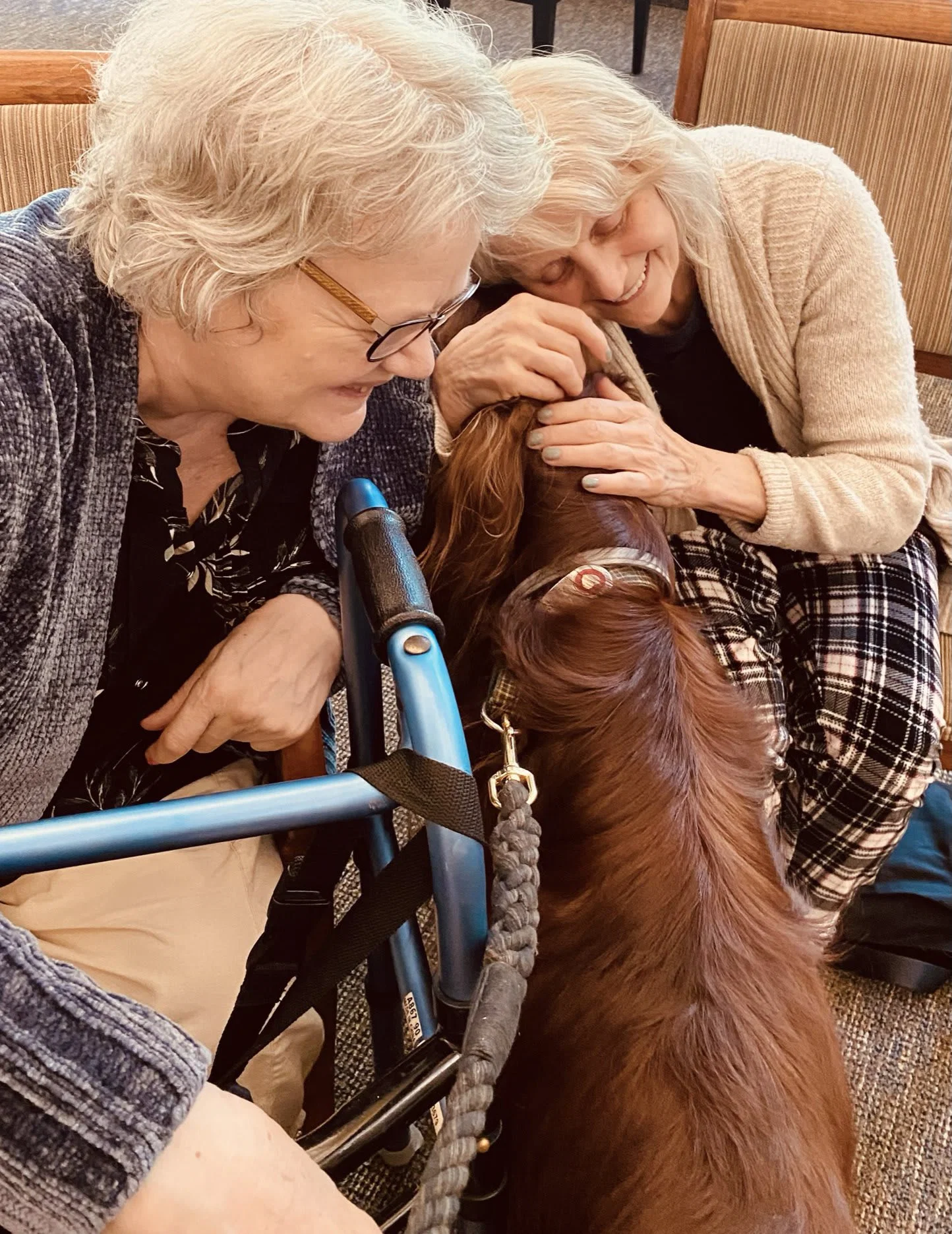 Maple Grove Memory Care