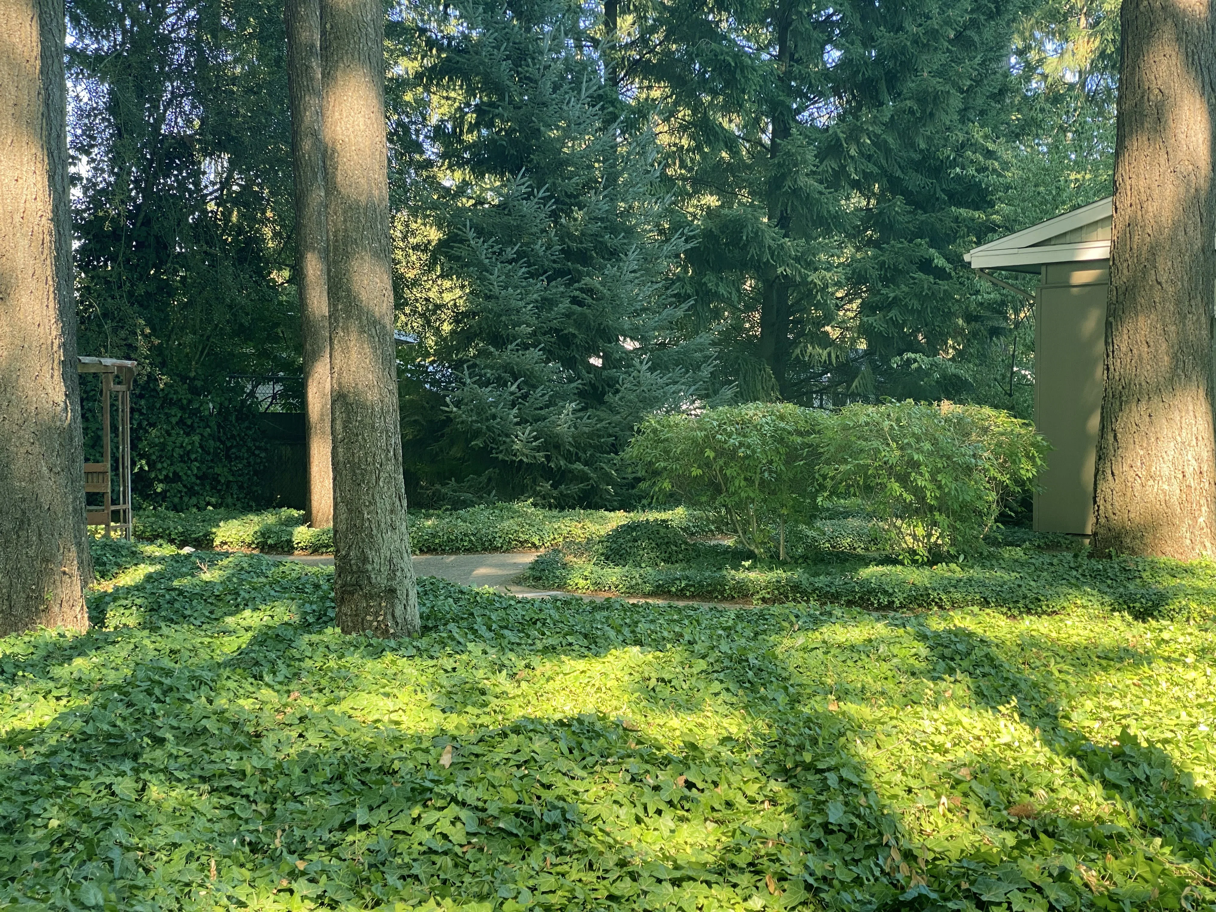 Maple Grove Memory Care