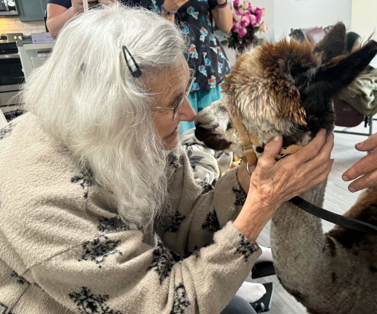 MEADOW VIEW ASSISTED LIVING