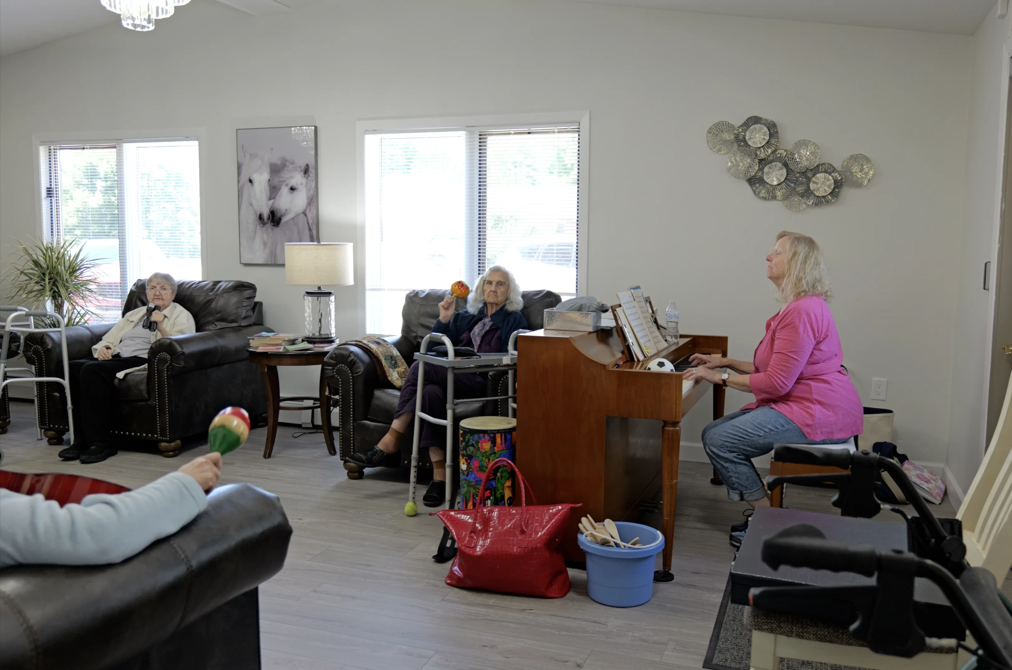 MEADOW VIEW ASSISTED LIVING