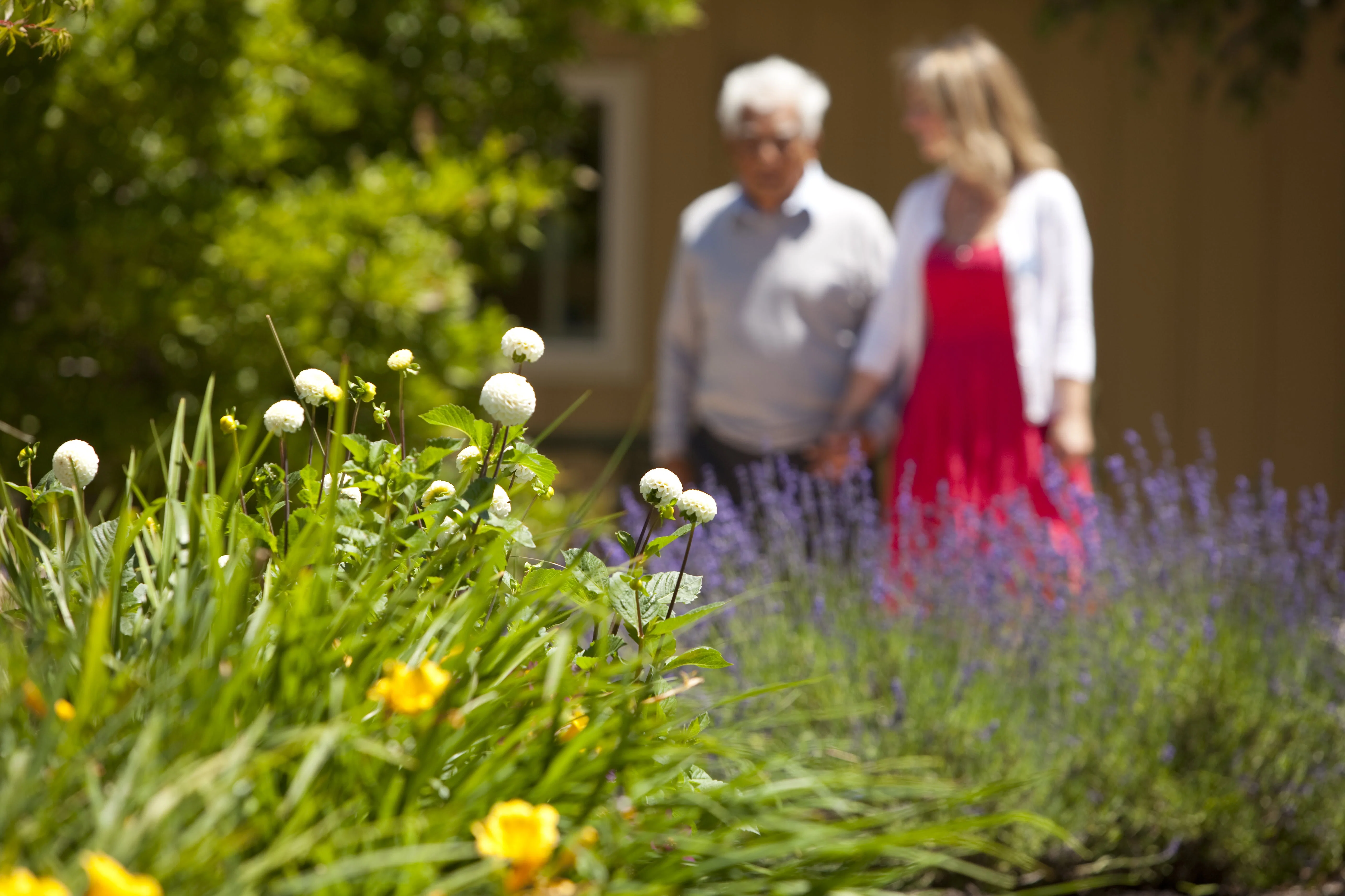 Quail Crest Memory Care