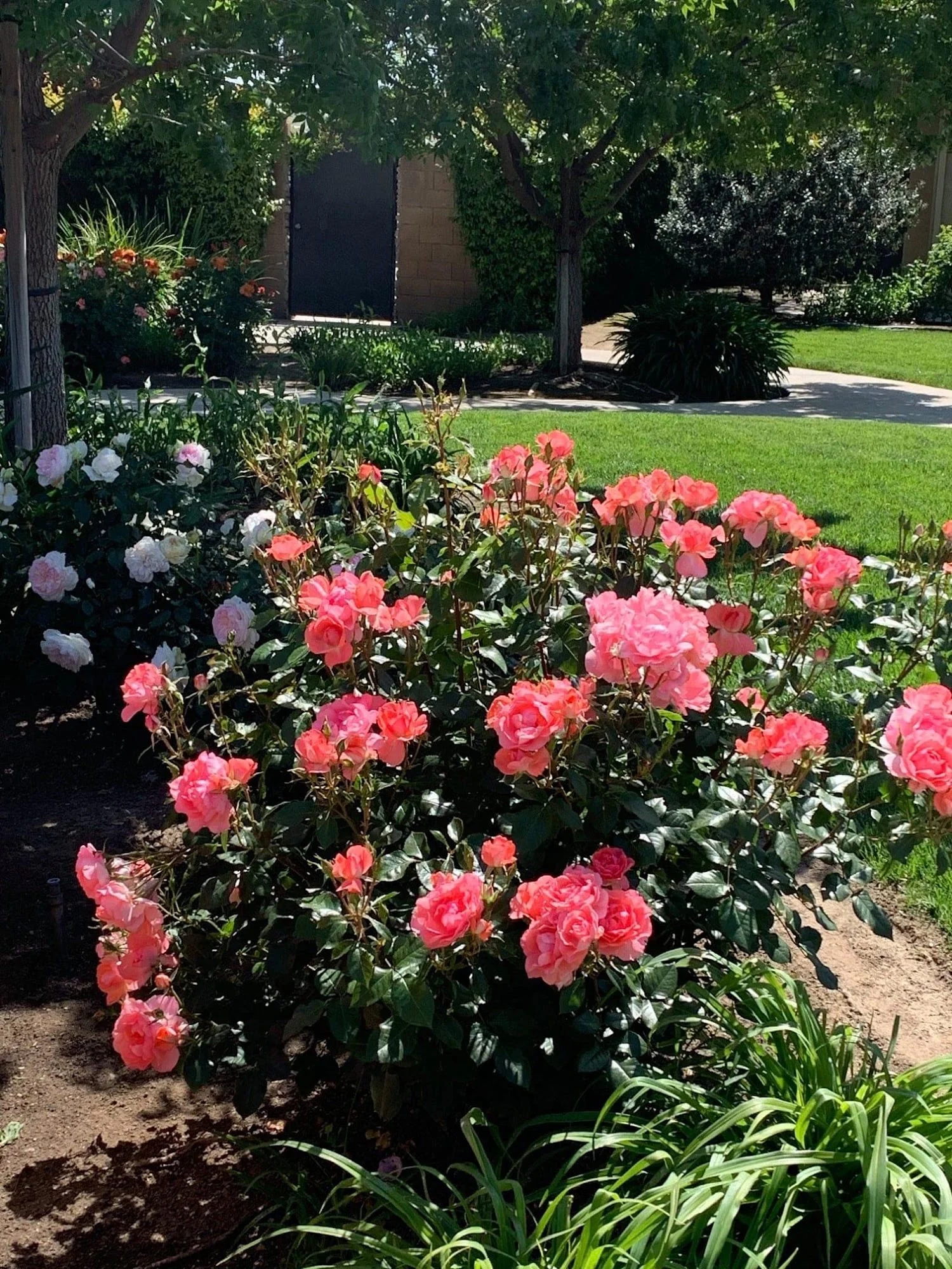 River Bluffs Memory Care