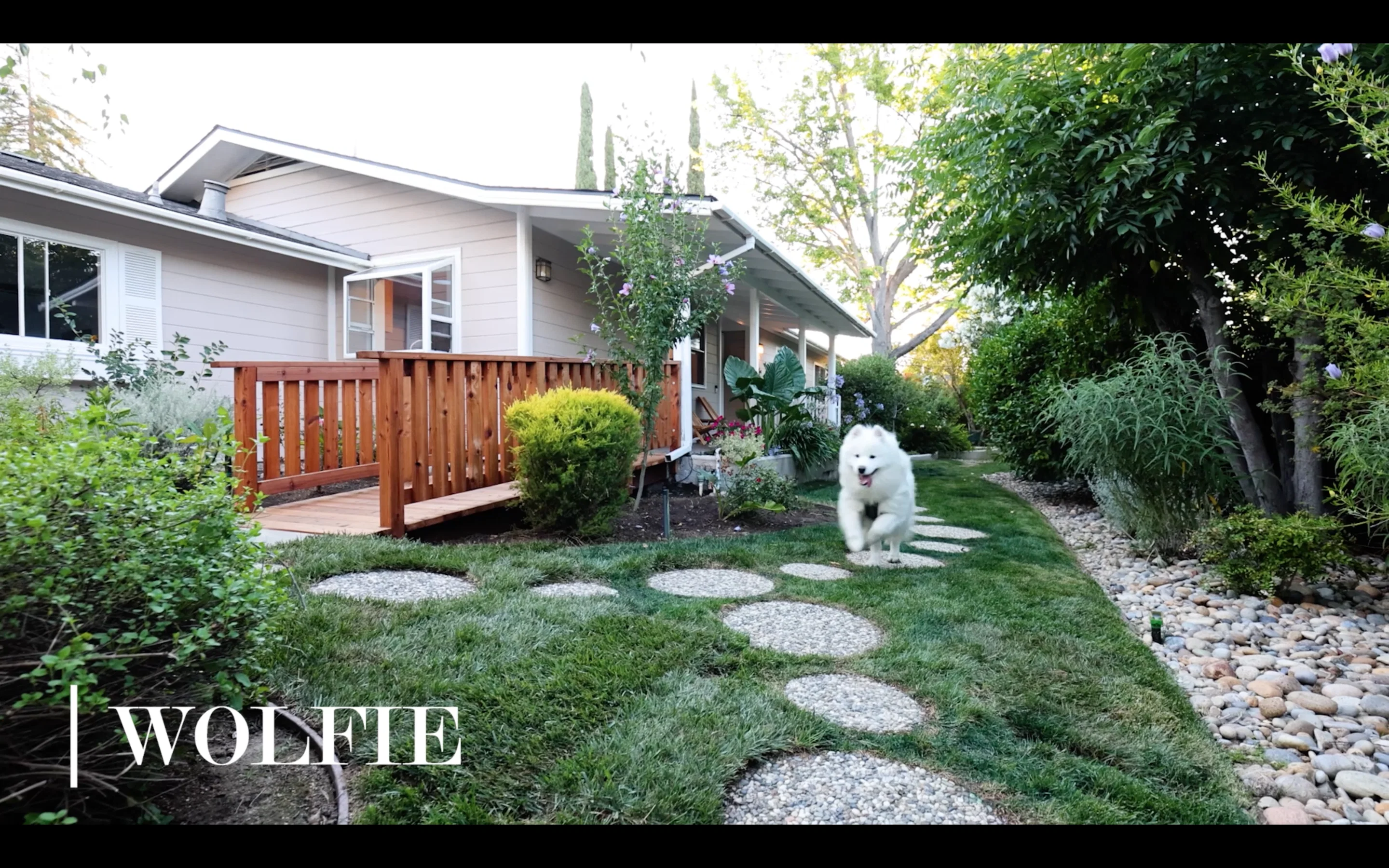 Roxbury Elderly Care