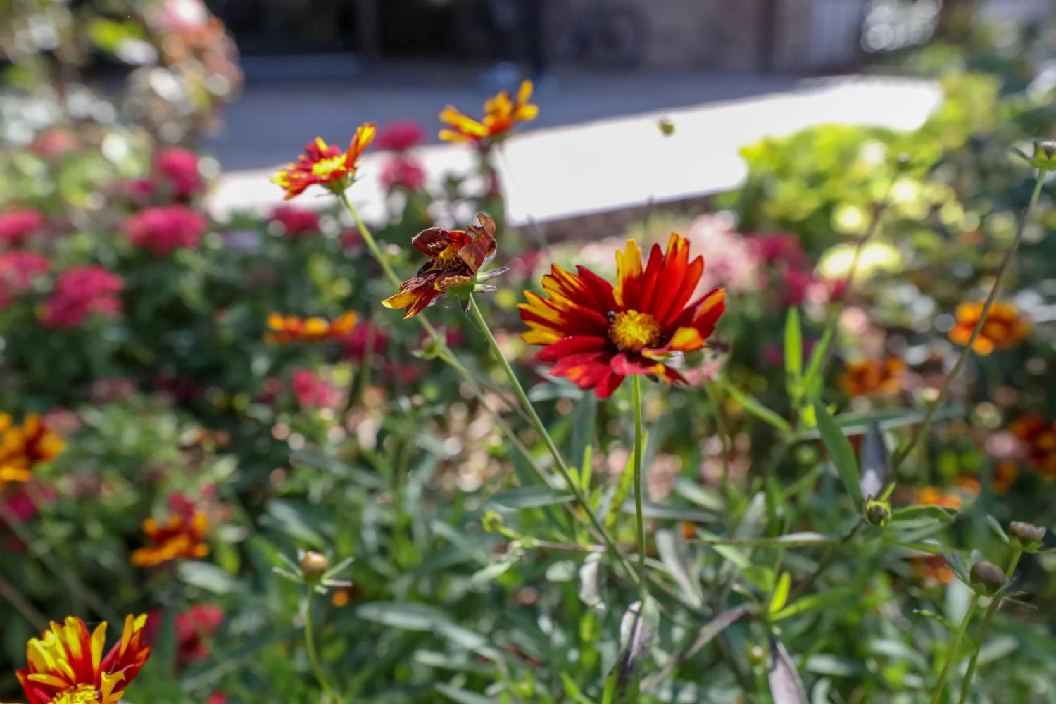 Sea Cliff Assisted Living