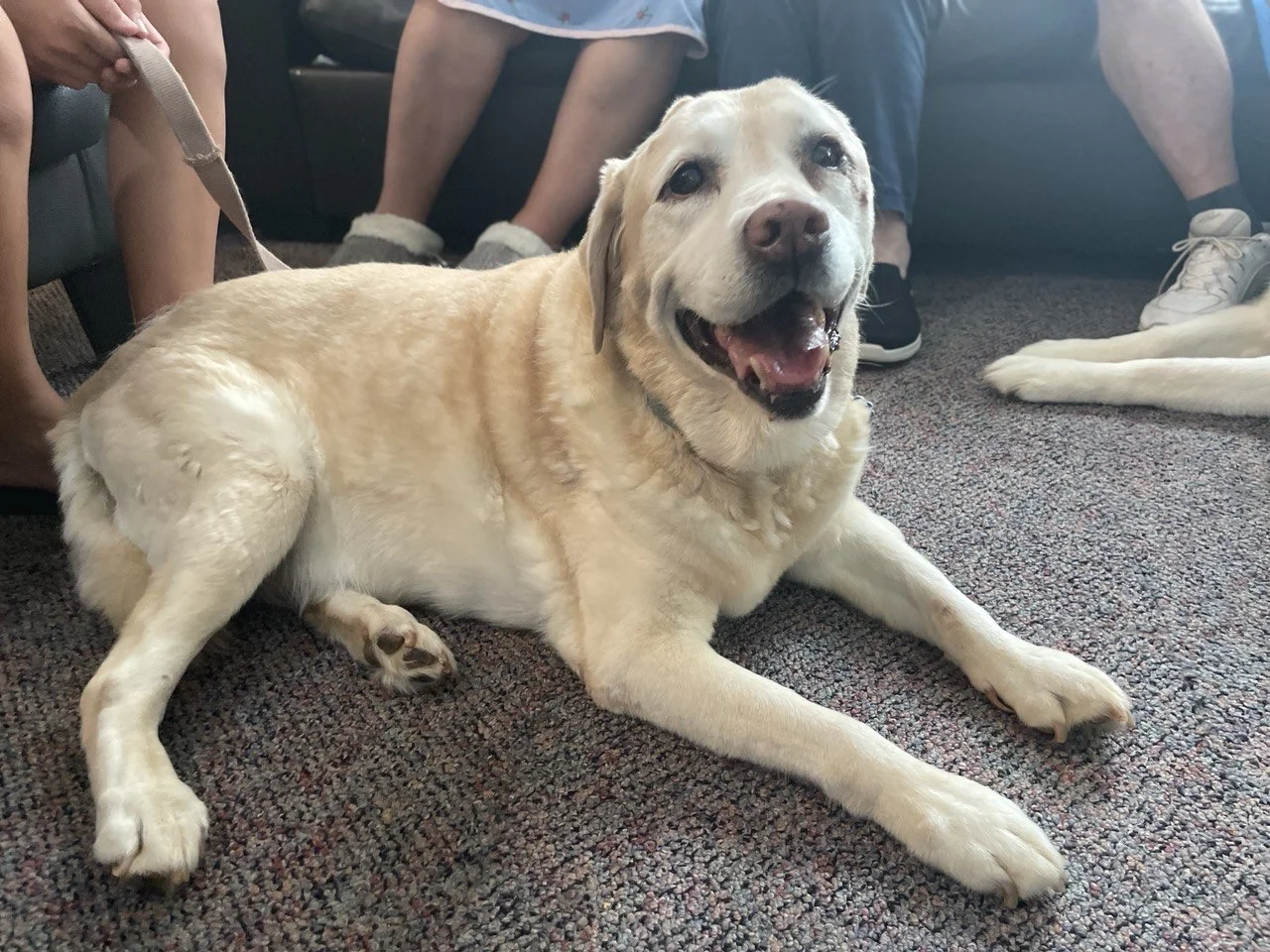 Smyrna Village Memory Care Community
