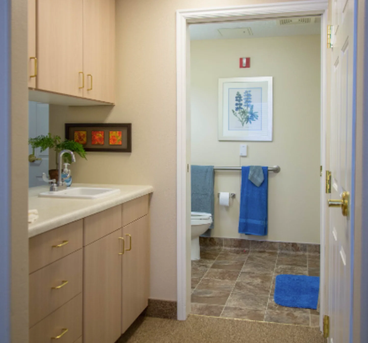 SOUTHGATE SENIOR LIVING