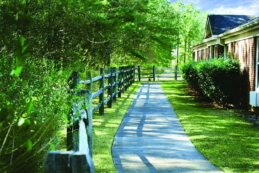 SPRING ARBOR OF WILSON