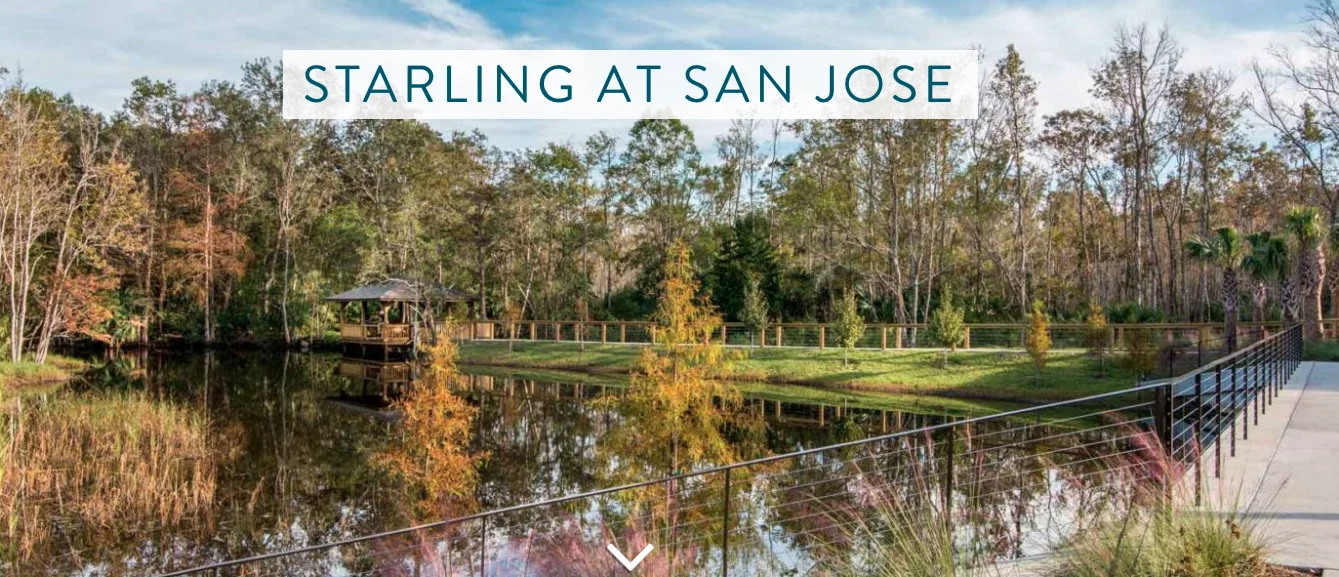 STARLING OF SAN JOSE