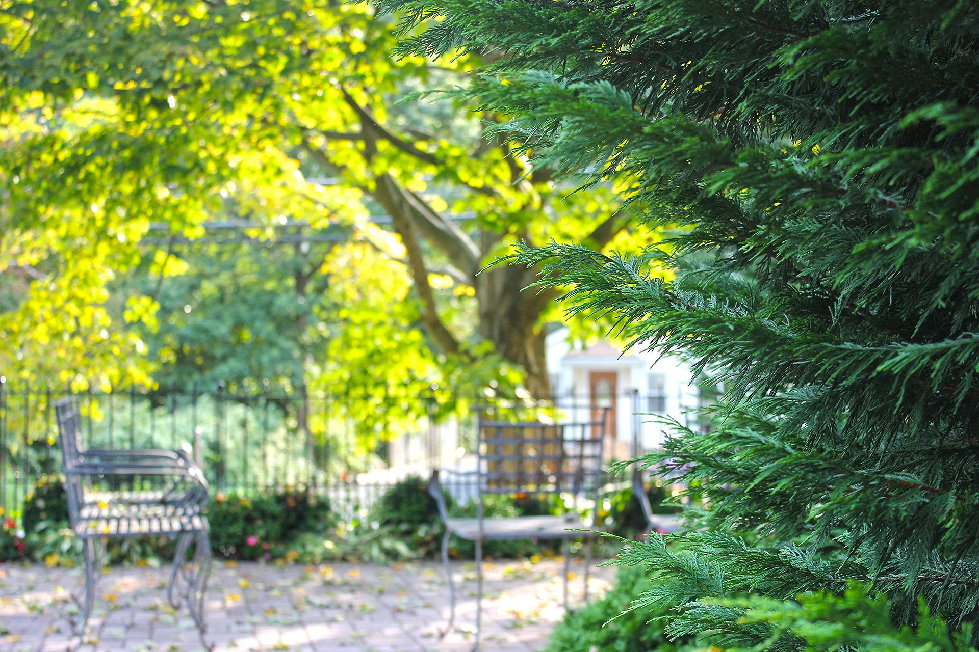 THE COUNTRY HOME MEMORY CARE
