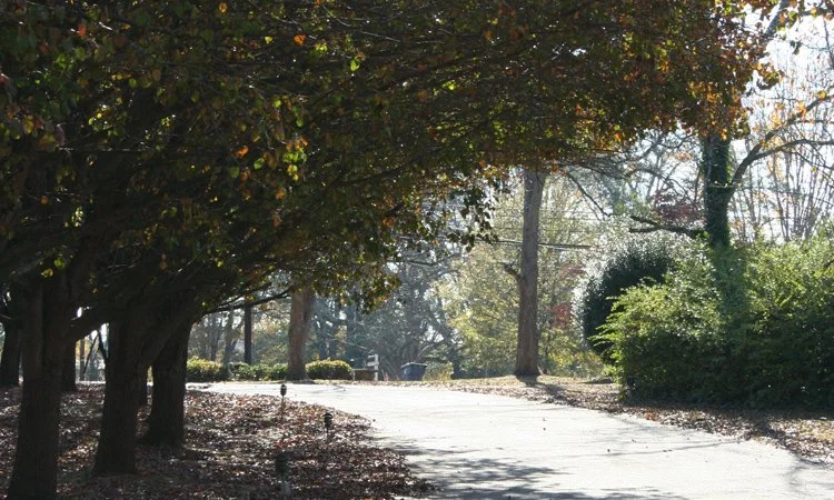 THE GARDENS OF SOCIAL CIRCLE