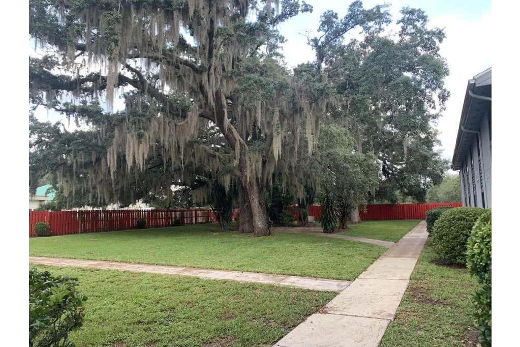 THE OAKVIEW