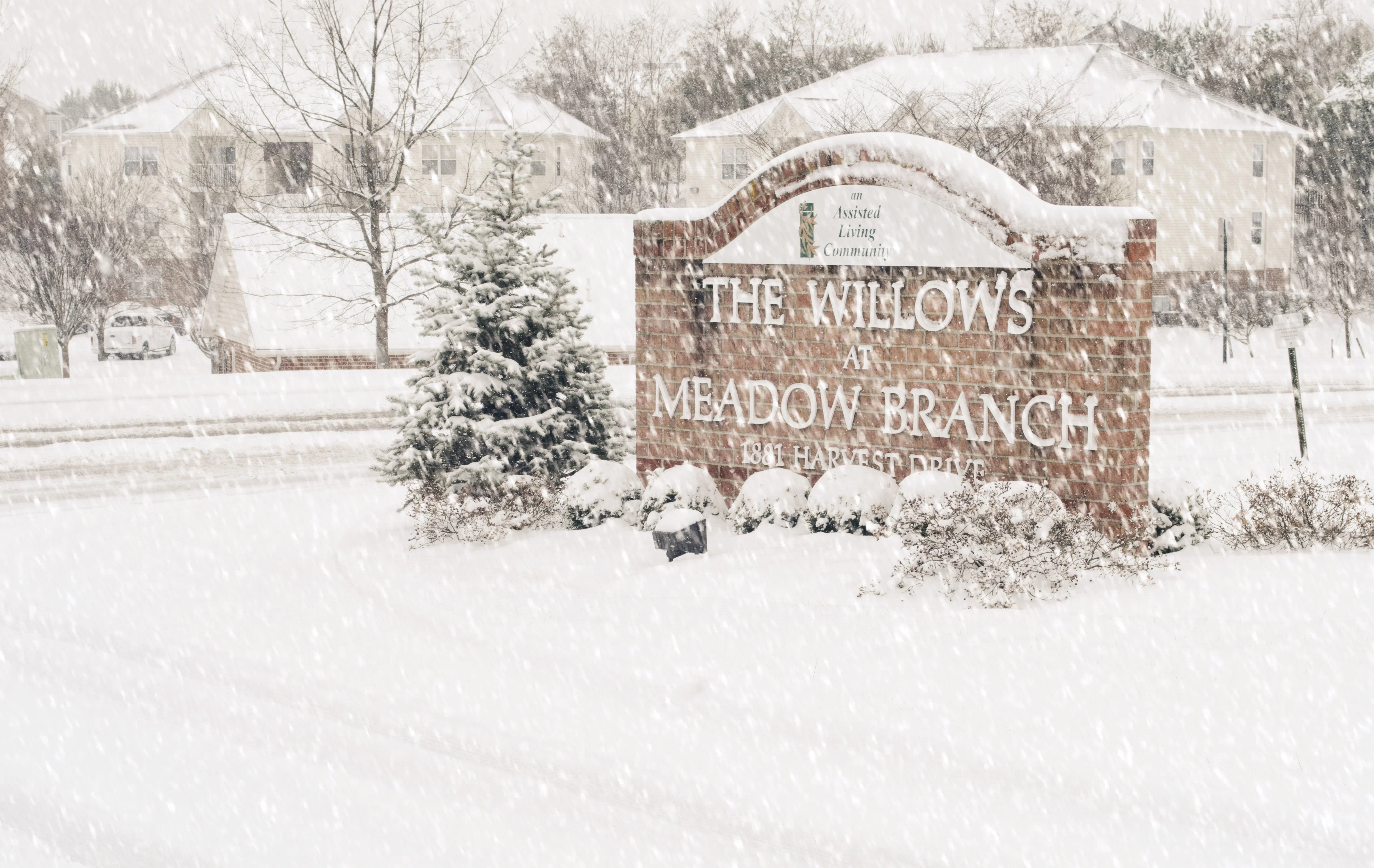 THE WILLOWS AT MEADOW BRANCH