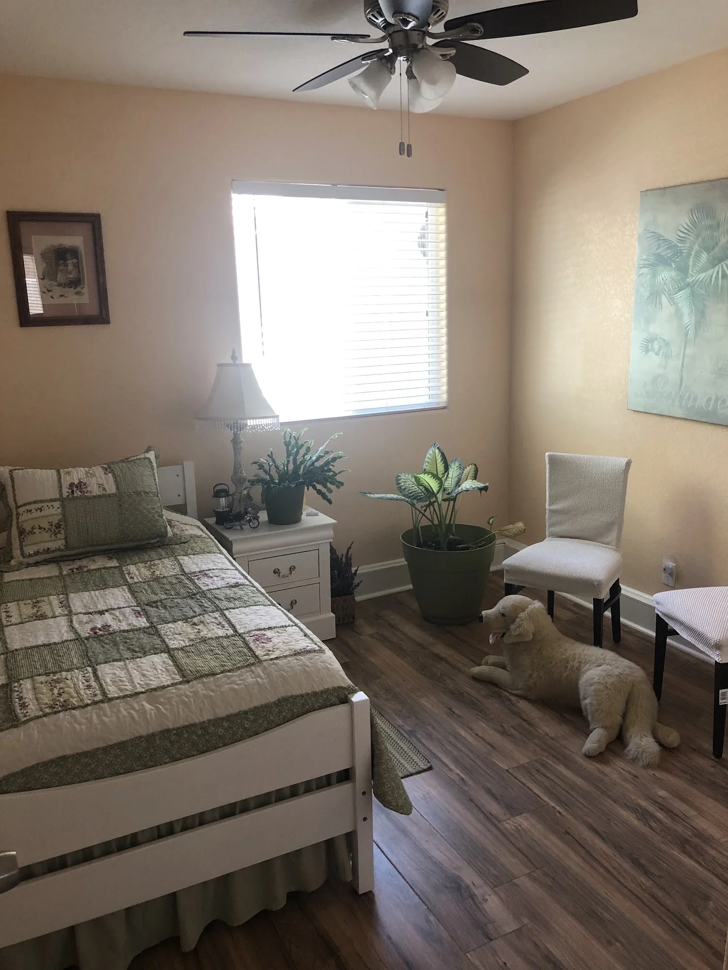 The Lakes Senior Living