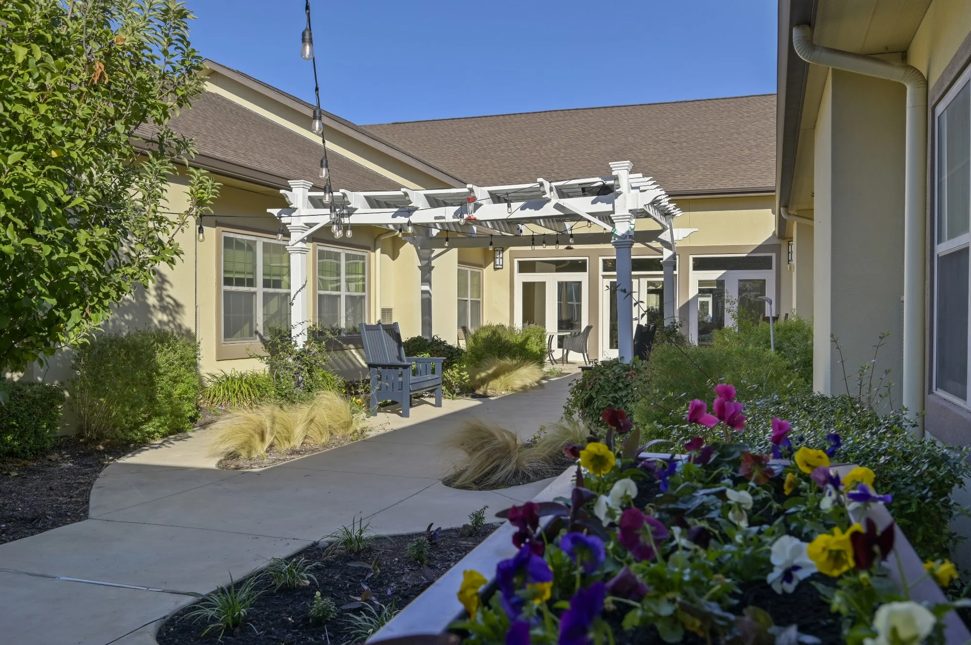 The Monarch at Cedar Park