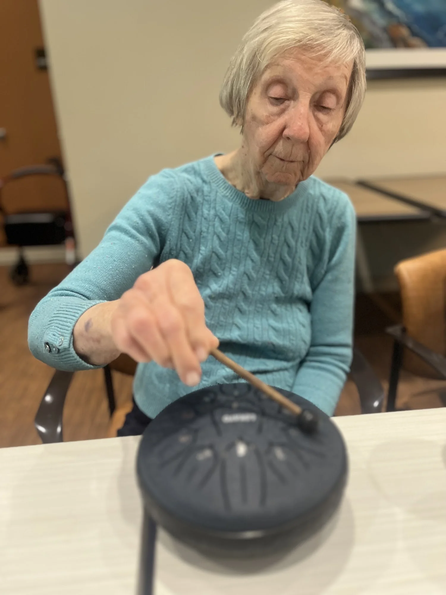 The Vineyards Cognitive Care Community
