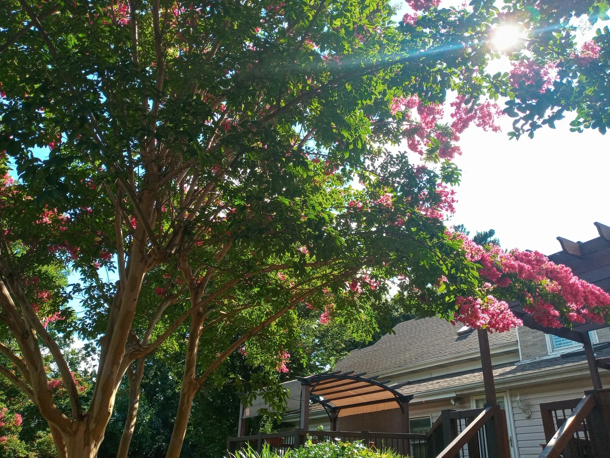 Waterfalls of Catonsville, Memory Care Home