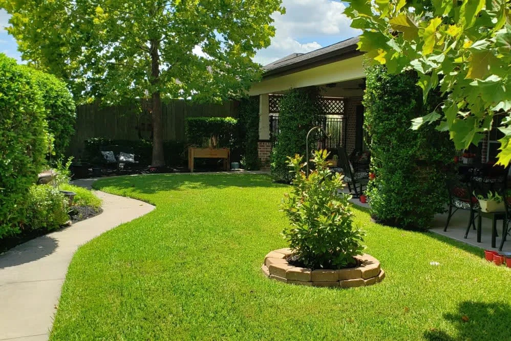 Willow Care Cottages