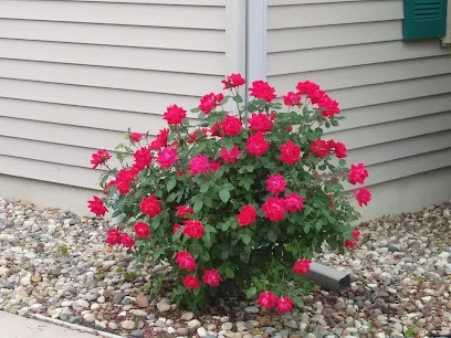 BOSCHWAY ADULT FOSTER CARE