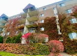 ENGLISH ROSE SUITES 1