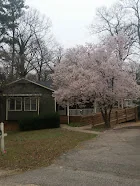 FALLS OF NEUSE SENIOR LIVING
