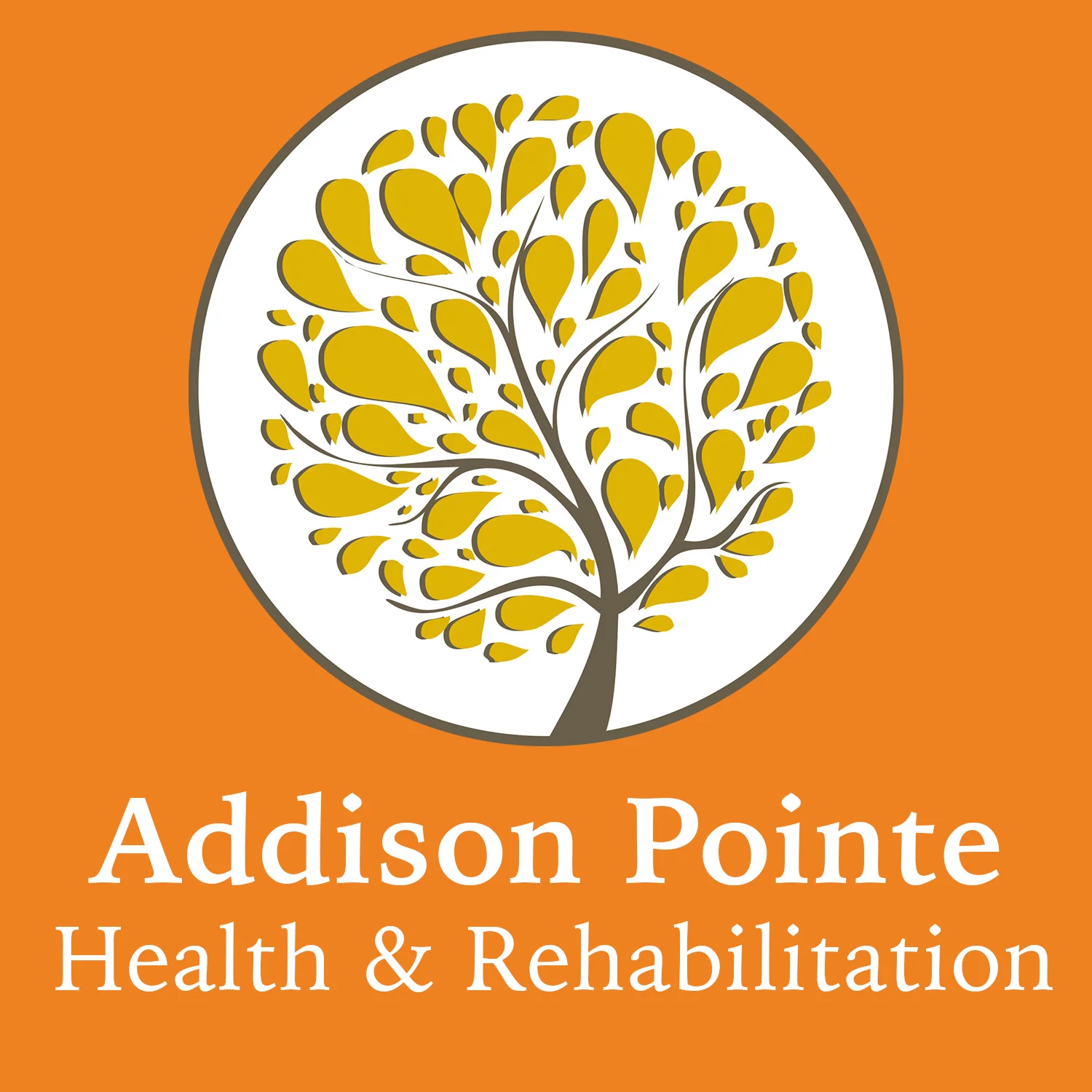 ADDISON POINTE HEALTH & REHABILITATION CENTER