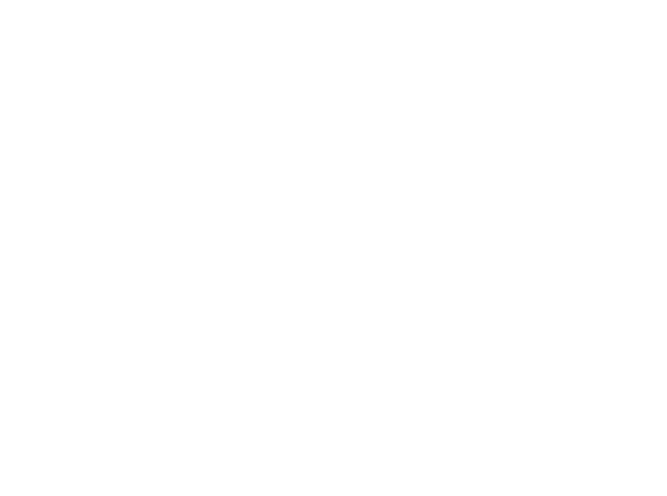 ADMT SOLUTIONS LLC