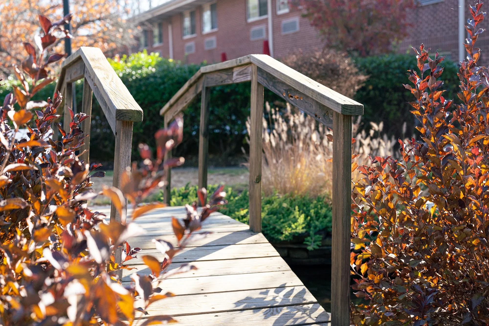 ADVANCED REHAB AT AUTUMN LAKE HEALTHCARE