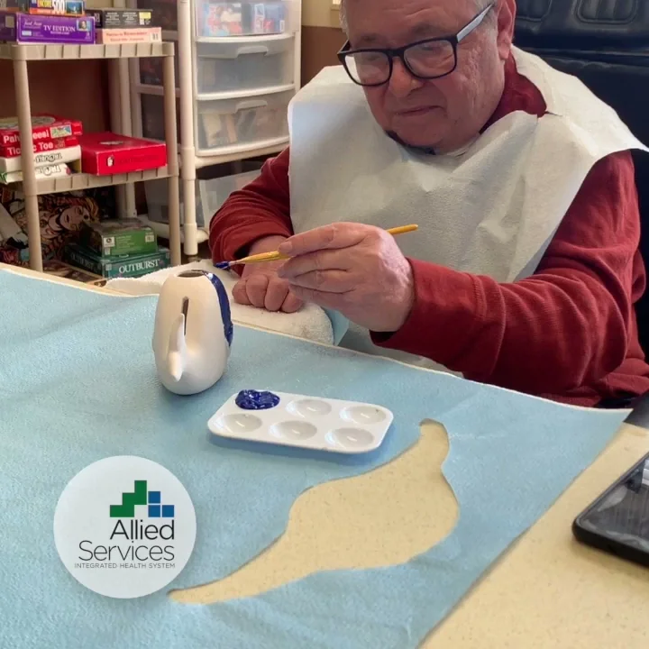 ALLIED SERVICES SKILLED NURSING CENTER