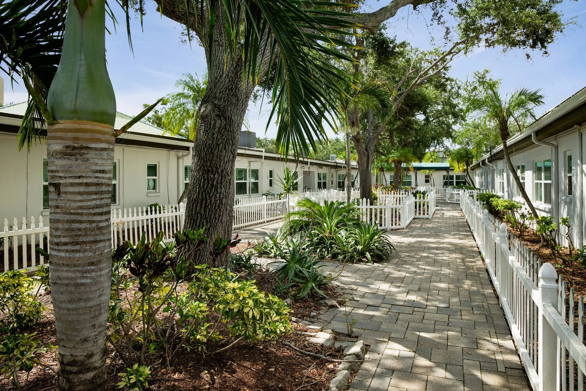 APOLLO HEALTHCARE & REHABILITATION CENTER