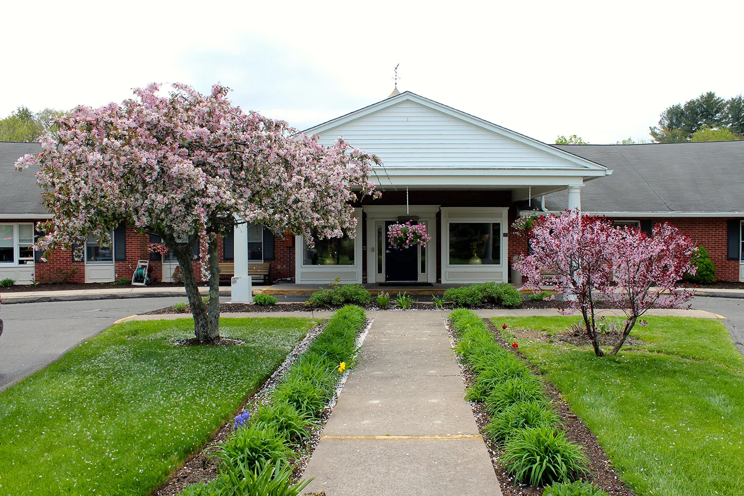 APPLE REHAB COCCOMO
