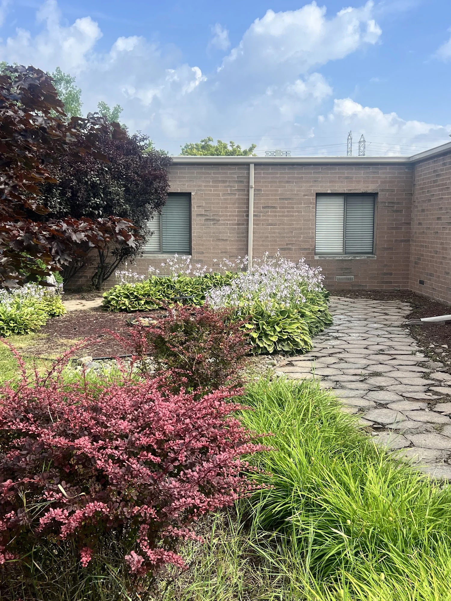 APPLEWOOD NURSING CENTER, INC